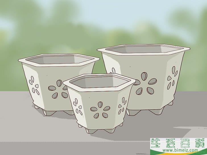 怎么换盆移栽兰花