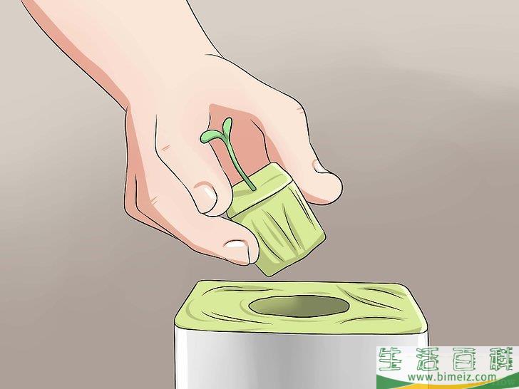怎么种植合法的大麻