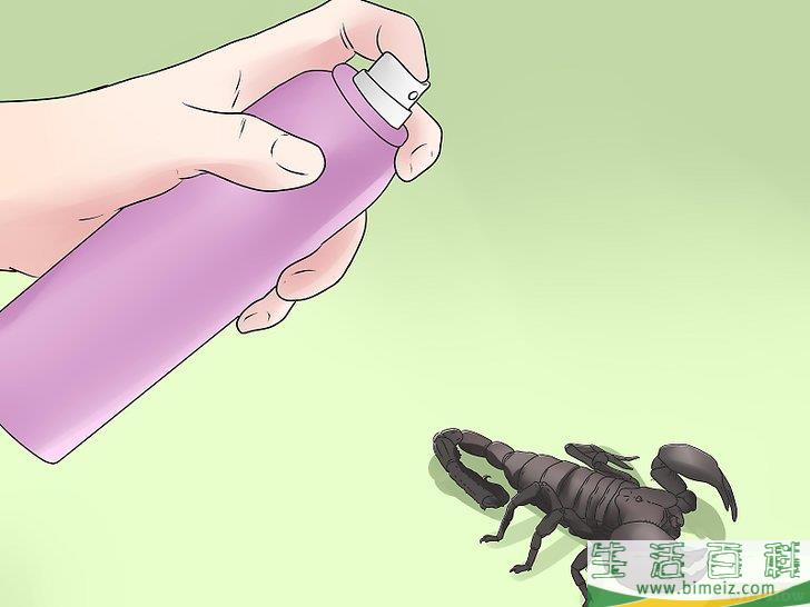 怎么清除蝎子