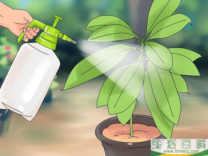 怎么制作生物农药