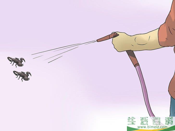 怎么清除蝎子