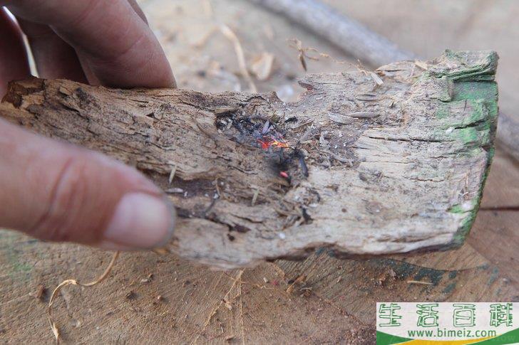 怎么在没有火柴或打火机的情况下生火