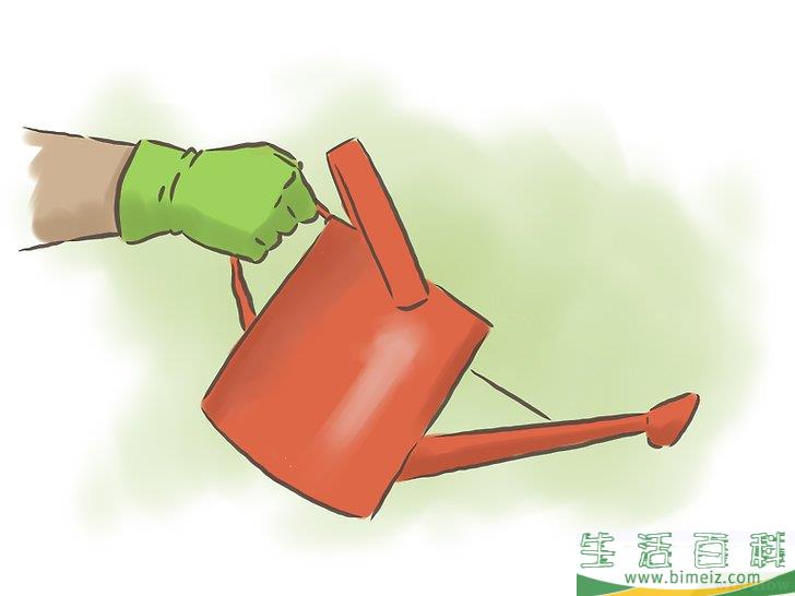 怎么种百香果