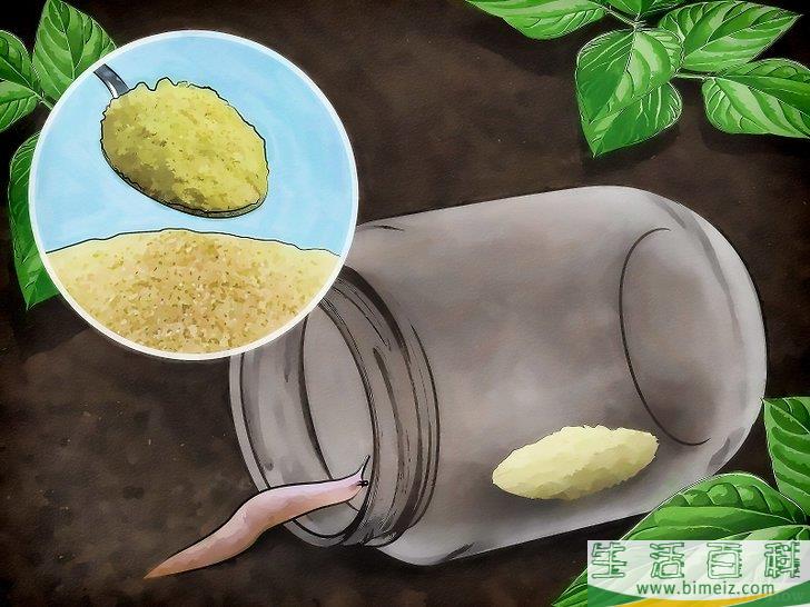 怎么清除蛞蝓（无壳蜗牛）