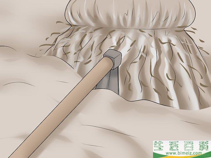 怎么移植棕榈树