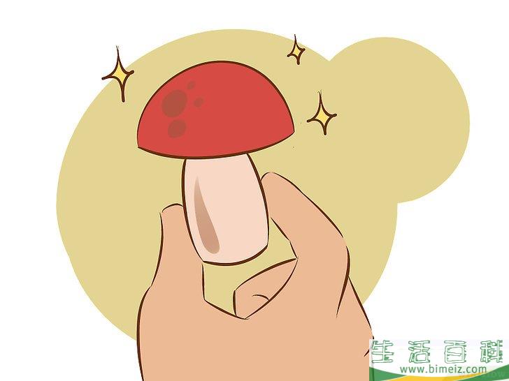 怎么种植食用菌