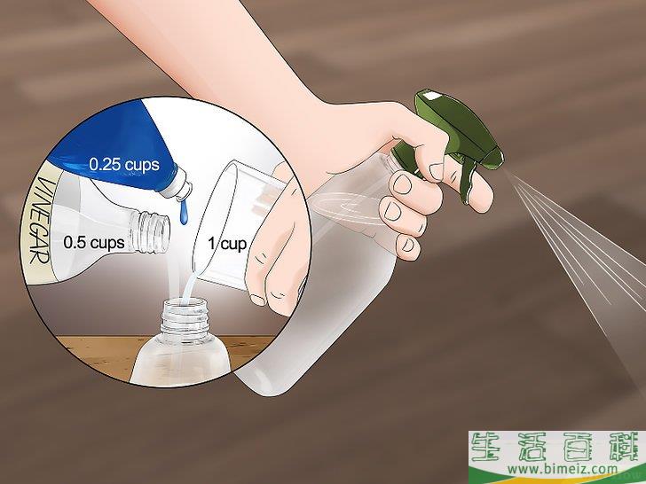 怎么消灭臭虫