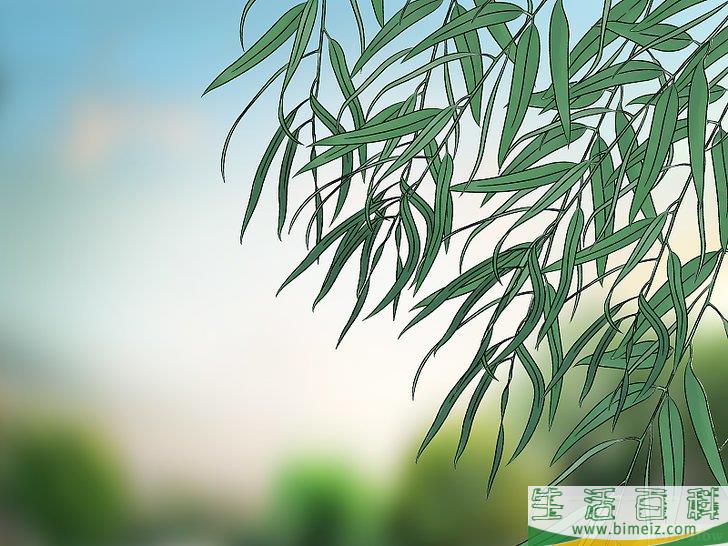 怎么避开黄蜂袭扰