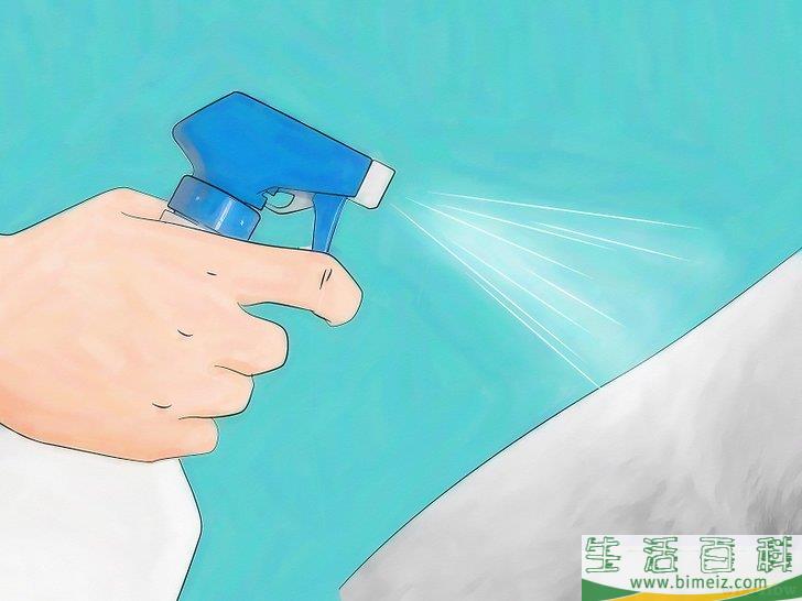 怎么用天然方法消灭跳蚤