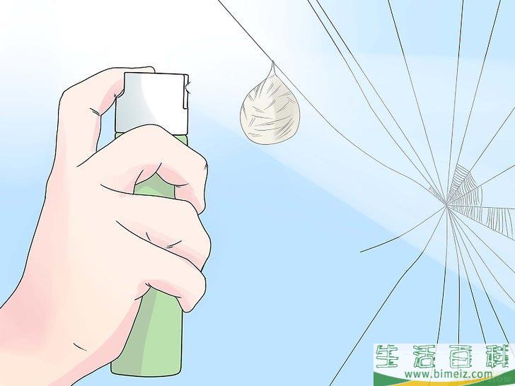 怎么驱除黑寡妇蜘蛛