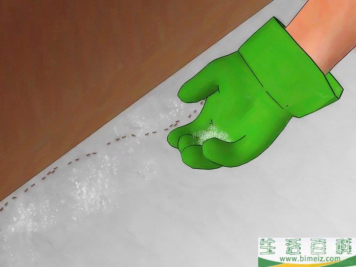 怎么不用杀虫剂消灭蚂蚁
