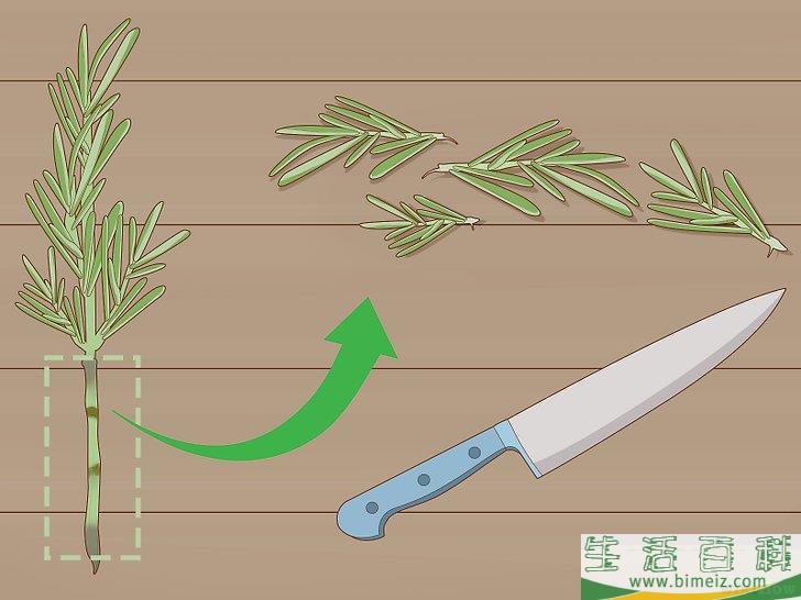 怎么种植迷迭香
