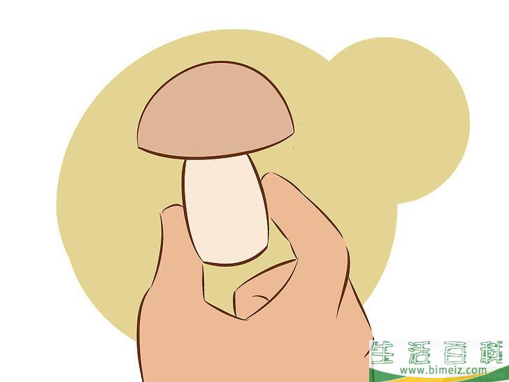 怎么种植食用菌