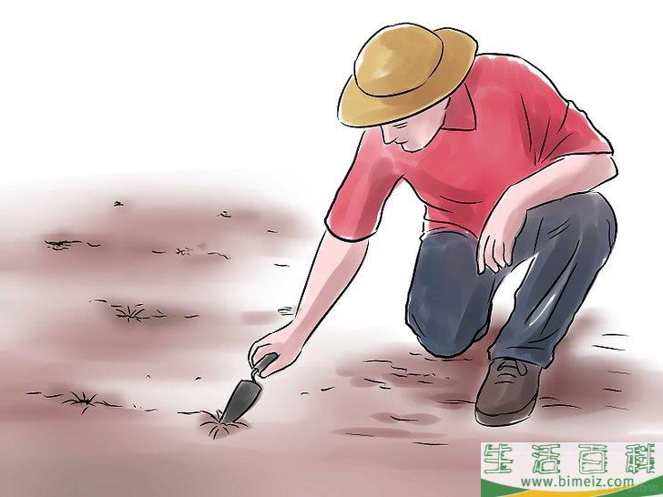 怎么种花生