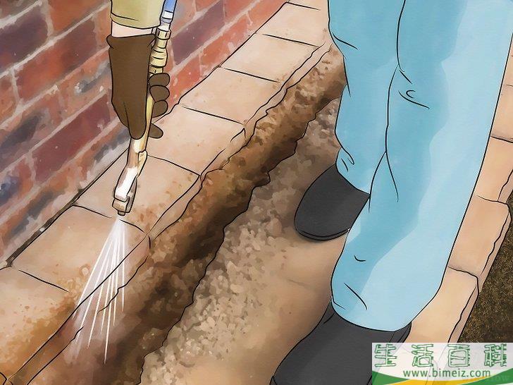 怎么消灭臭虫