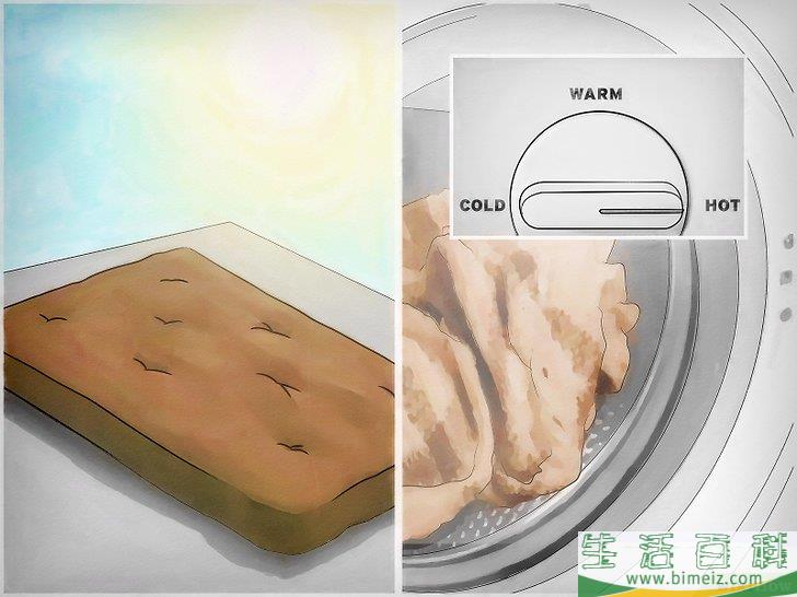 怎么清除床虱