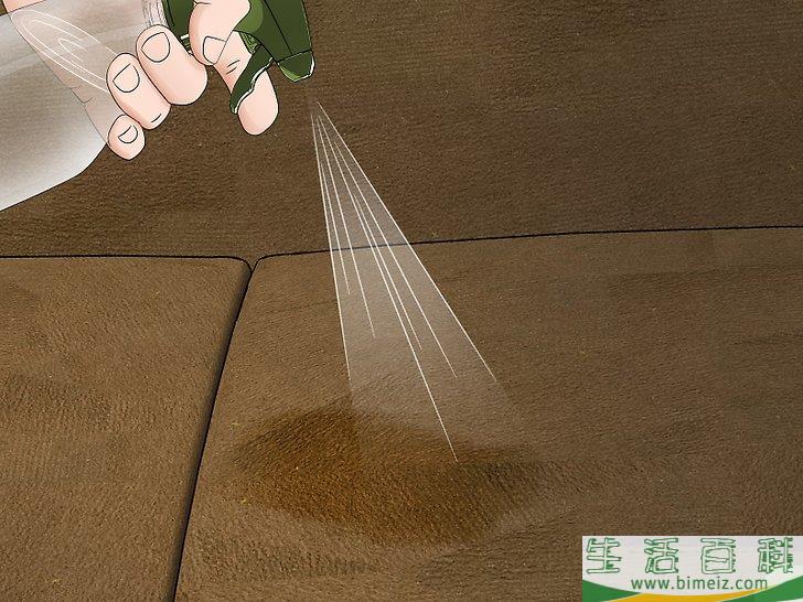 怎么除去沙发上的尿液