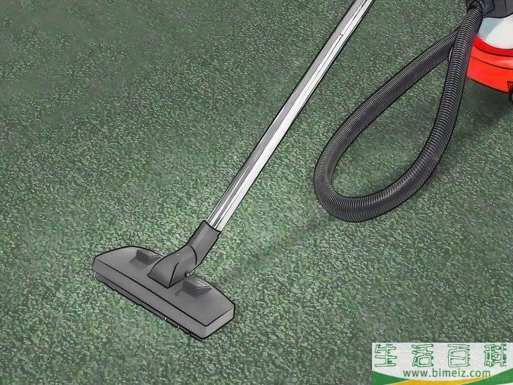 怎么用天然方法消灭跳蚤