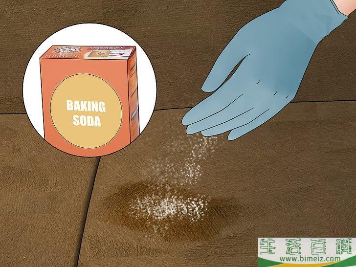 怎么除去沙发上的尿液