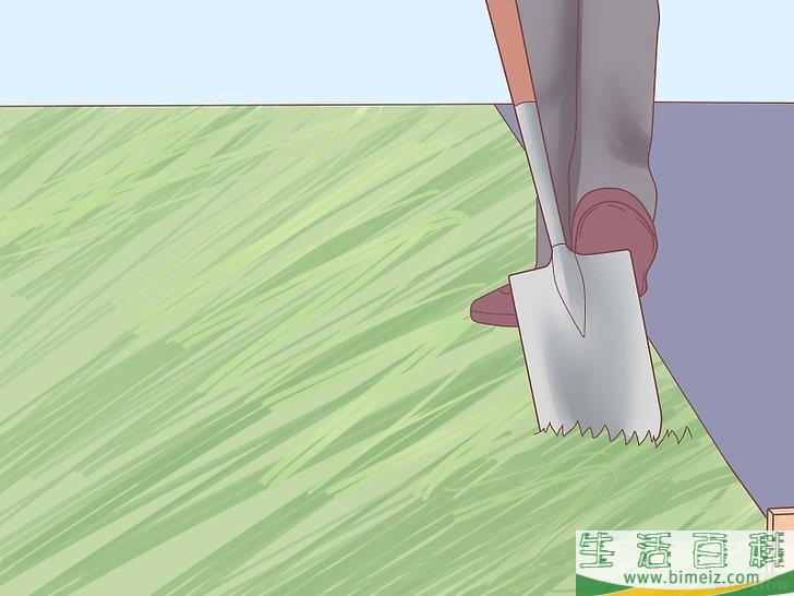 怎么移植棕榈树