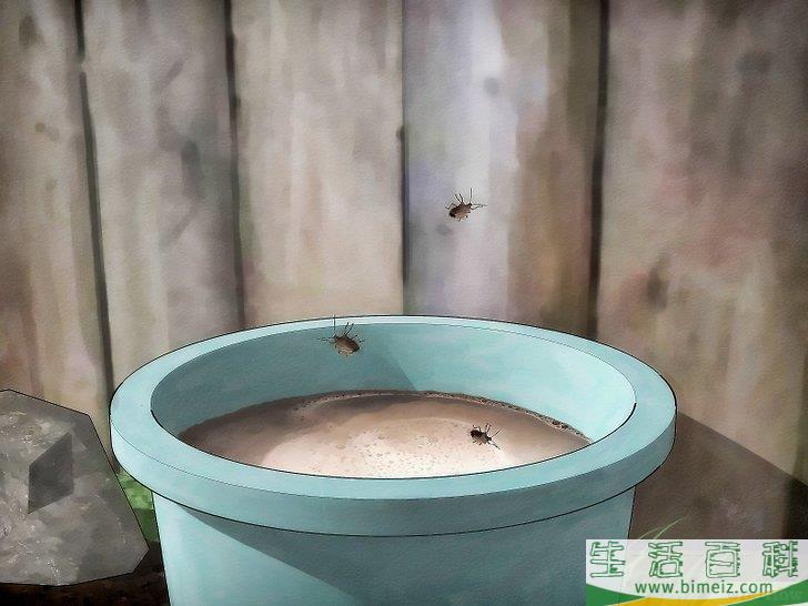怎么消灭臭虫