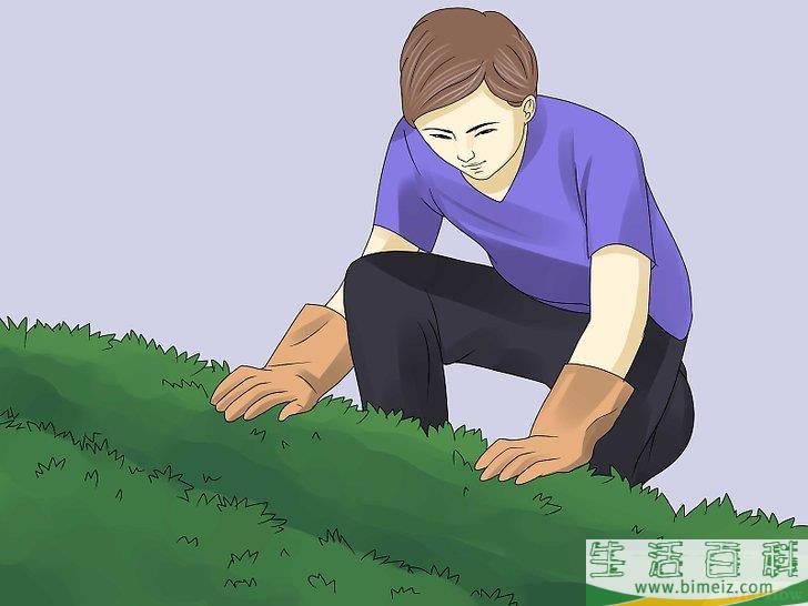 怎么移除常春藤植物