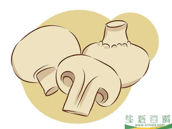 怎么种植食用菌