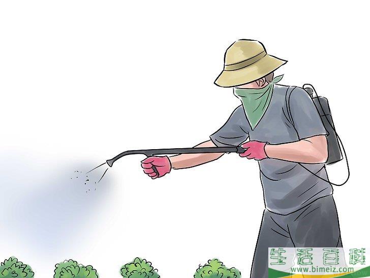 怎么种花生
