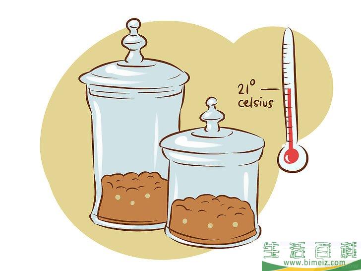 怎么种植食用菌