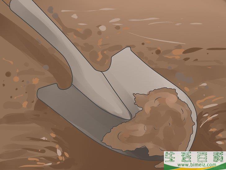 怎么移植棕榈树