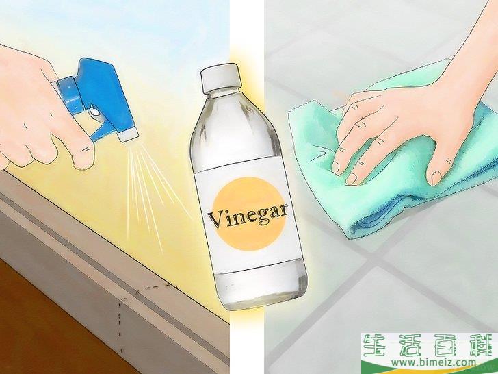 怎么不用杀虫剂消灭蚂蚁