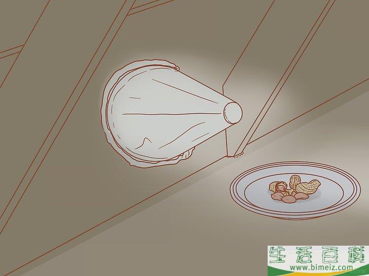 怎么驱除阁楼中的松鼠