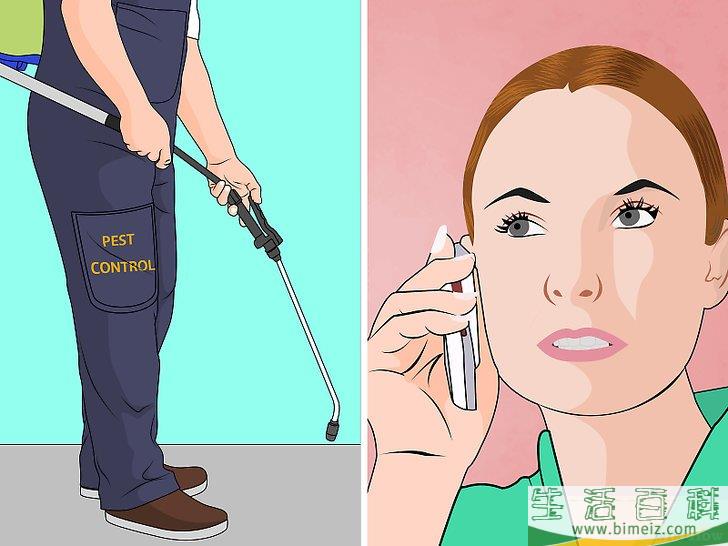 怎么去除果蝇