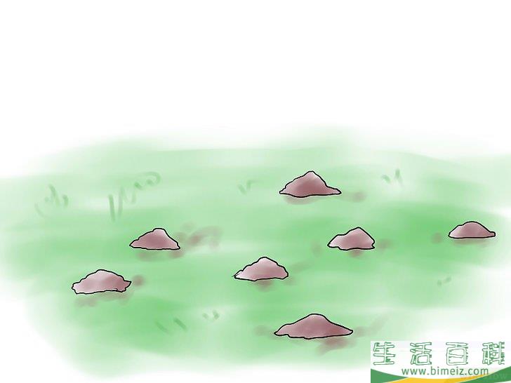 怎么杀死鼹鼠