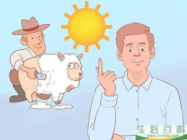 怎么修剪羊毛