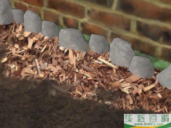 怎么用天然方法消灭跳蚤