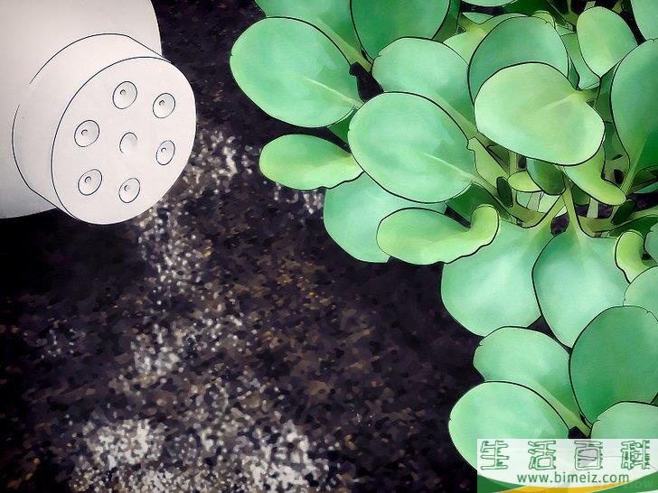 怎么摆脱蜈蚣