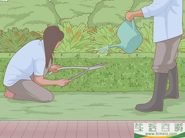 怎么设计一个规则式庭院