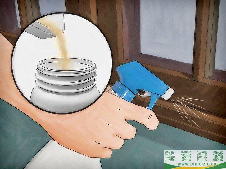 怎么消灭臭虫