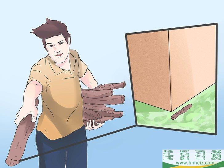 怎么驱除黑寡妇蜘蛛