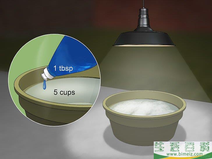 怎么消灭臭虫