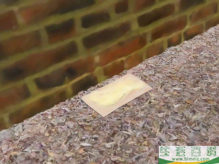 怎么不用杀虫剂消灭蚂蚁
