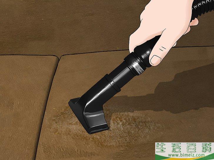 怎么除去沙发上的尿液