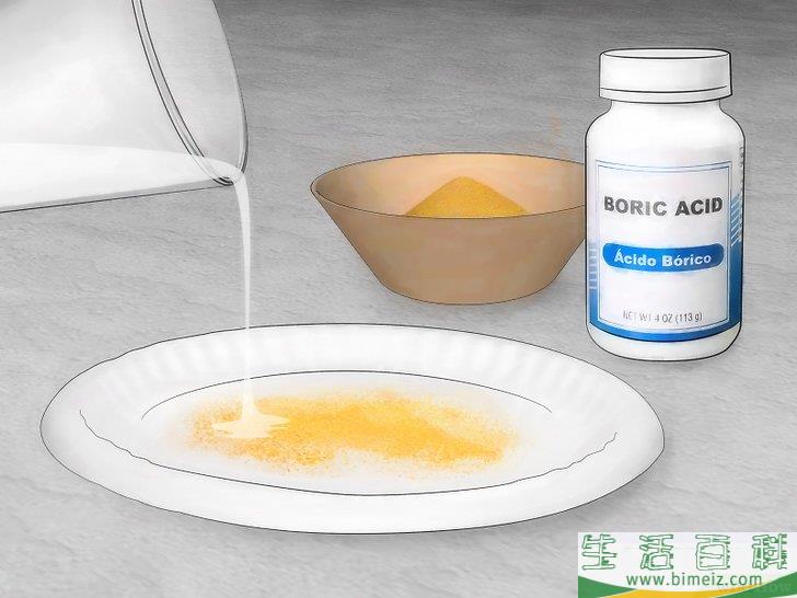 怎么不用杀虫剂消灭蚂蚁
