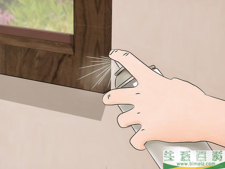 怎么消灭臭虫