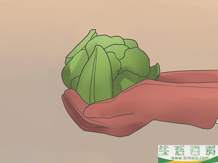 怎么种植花椰菜