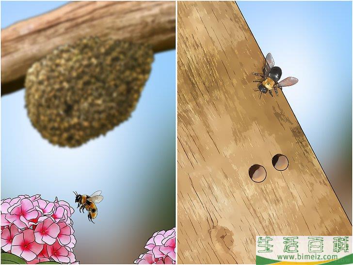 怎么摆脱蜜蜂