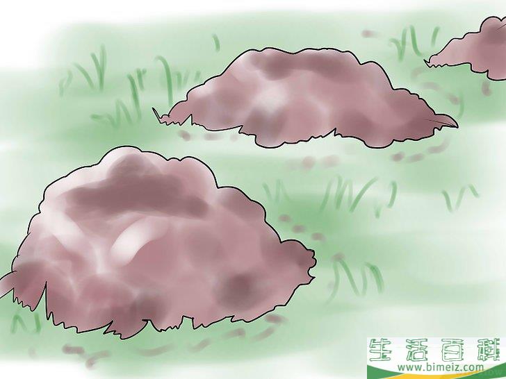 怎么杀死鼹鼠