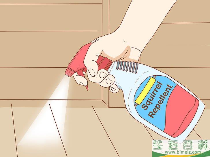 怎么驱除阁楼中的松鼠