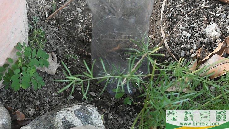 怎么用塑料瓶制作滴灌器